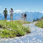 Appartement Les Aiguilles Vertes Rez Superieur By Interhome Crans-Montana