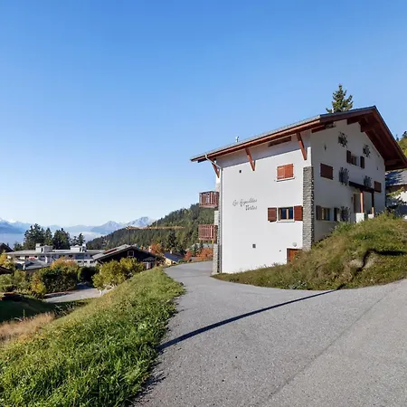 Les Aiguilles Vertes Rez Superieur By Interhome 크란스몬타나